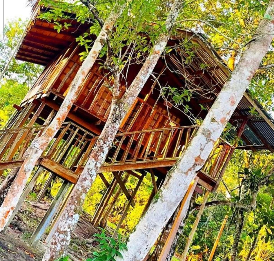 Hotel Karupa Amazonas Летісія Екстер'єр фото