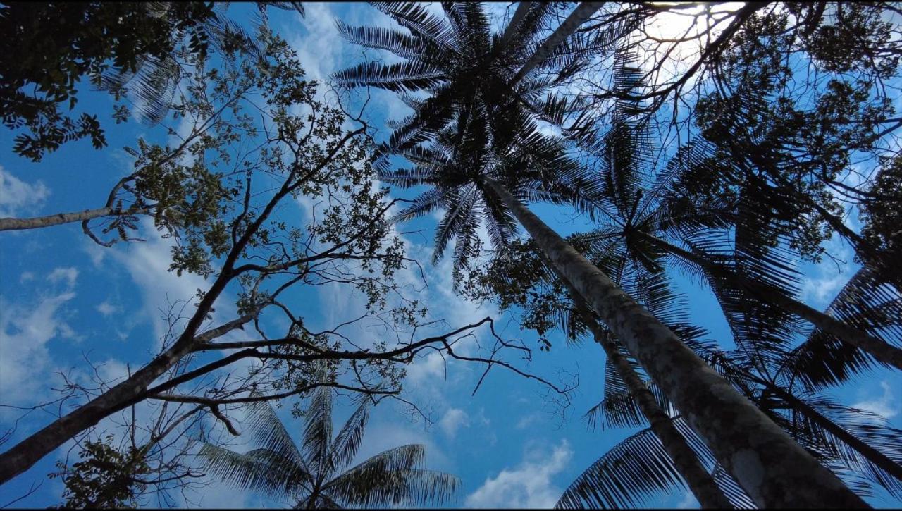 Hotel Karupa Amazonas Летісія Екстер'єр фото