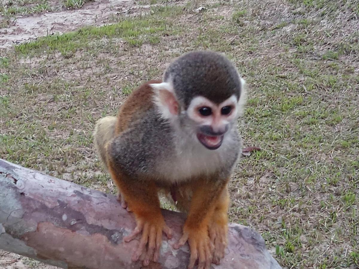 Hotel Karupa Amazonas Летісія Екстер'єр фото